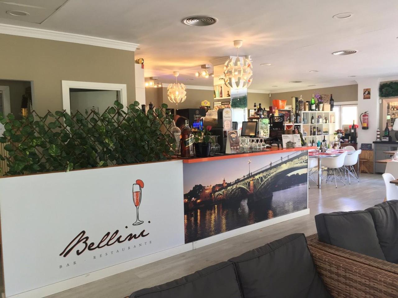 La Concha In Puerto Banus Apartment *